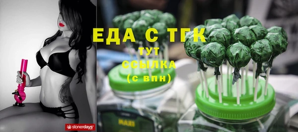 стаф Верея