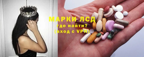 ПСИЛОЦИБИНОВЫЕ ГРИБЫ Бородино