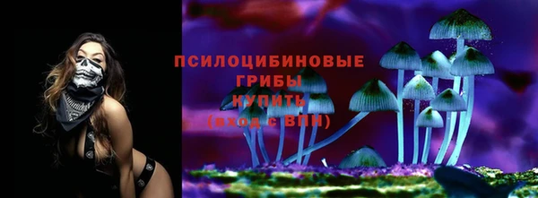 стаф Верея