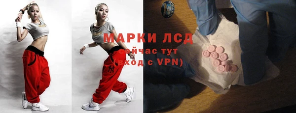 сатива Бугульма