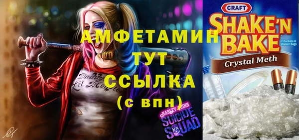 прущие грибы Верхний Тагил
