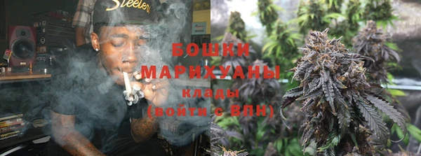 стаф Верея