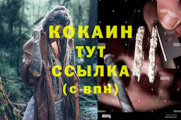 прущие грибы Верхний Тагил